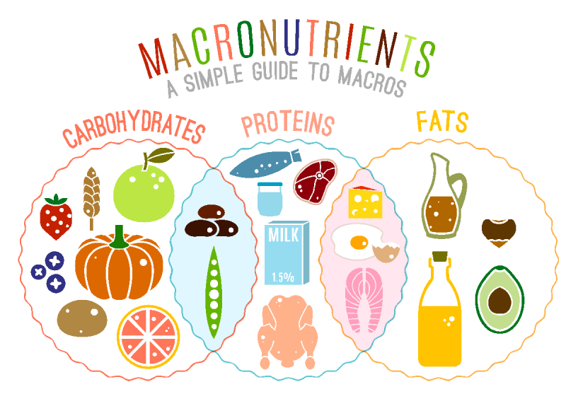 Balanced Macronutrients