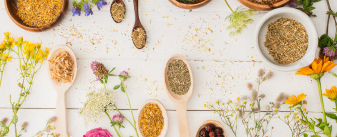 A Guide to Naturopathic Medicine