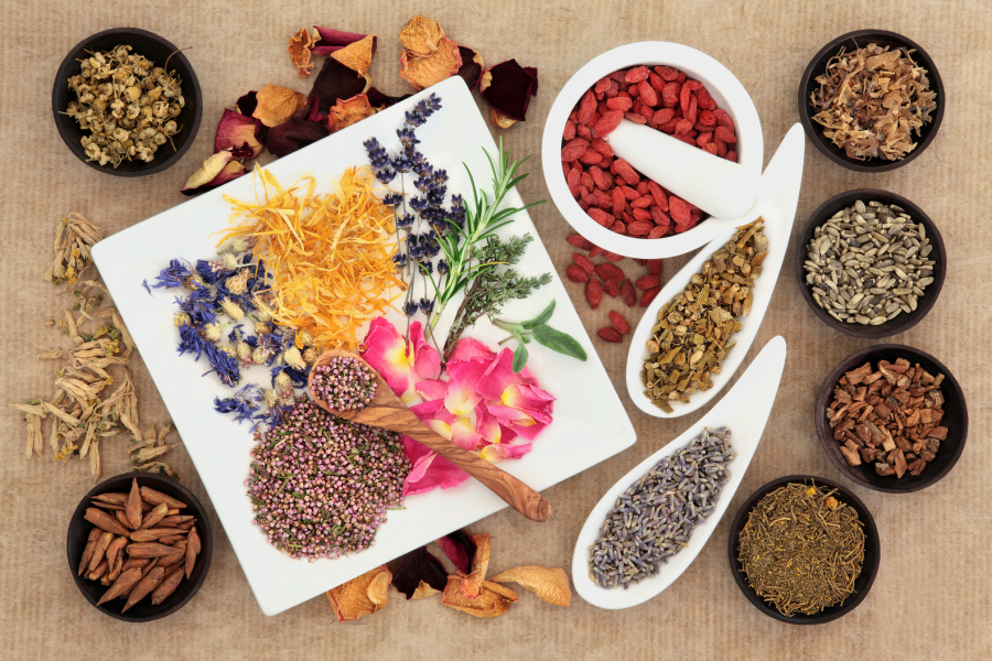 Why Choose a Naturopathic Doctor?