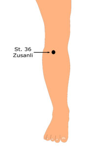 Stomach 36 Point Location Visual 